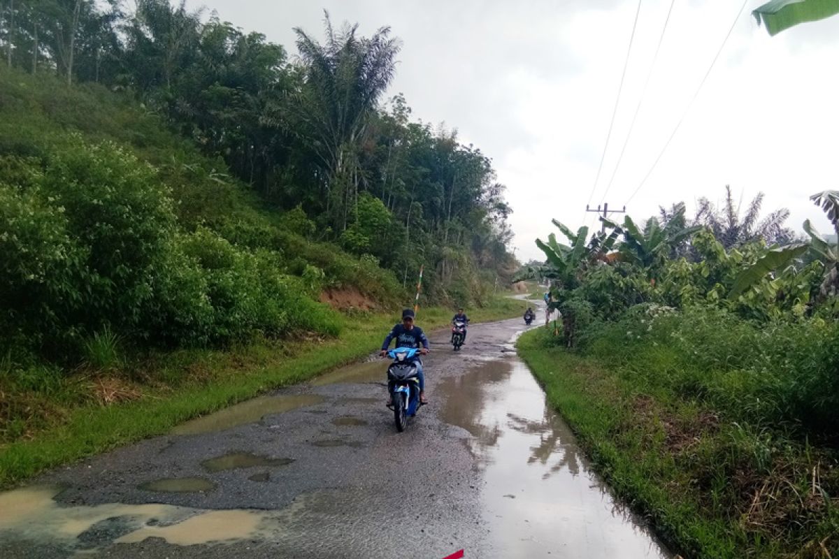 Hotmix jalan Provinsi Sipirok - Arse mulai mengelupas