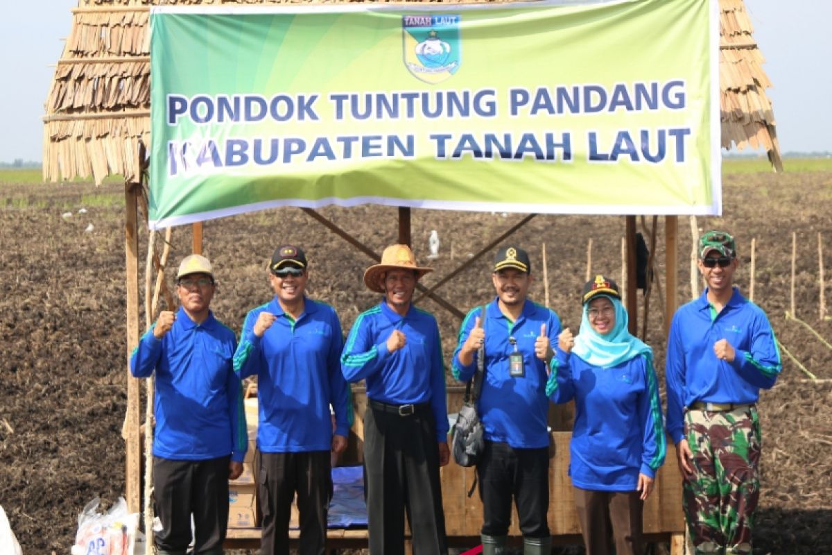 Tanam padi di lokasi HPS