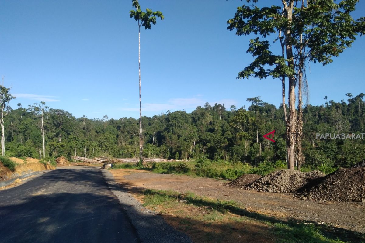 Pemberdayaan masyarakat solusi menjaga hutan tropis Papua