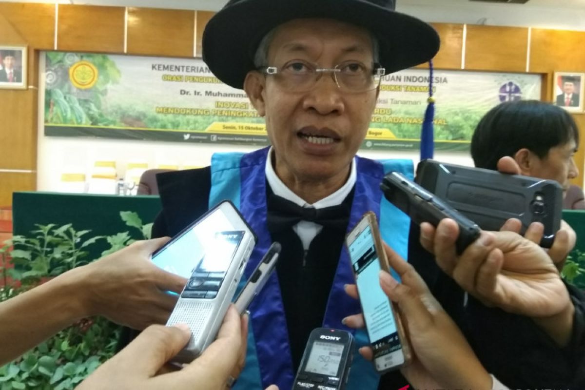 Inovasi Balitbangtan tingkatkan produksi lada nasional