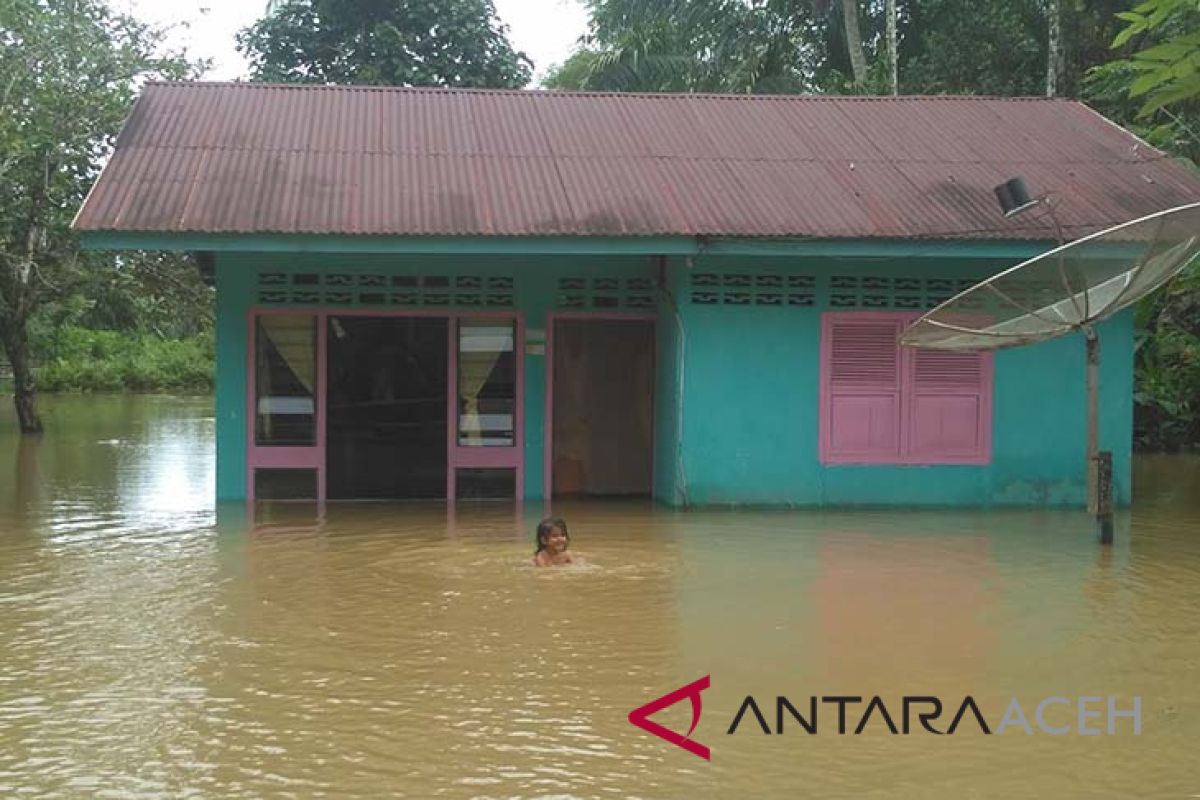 Pemukiman warga Nagan Raya terkurung banjir