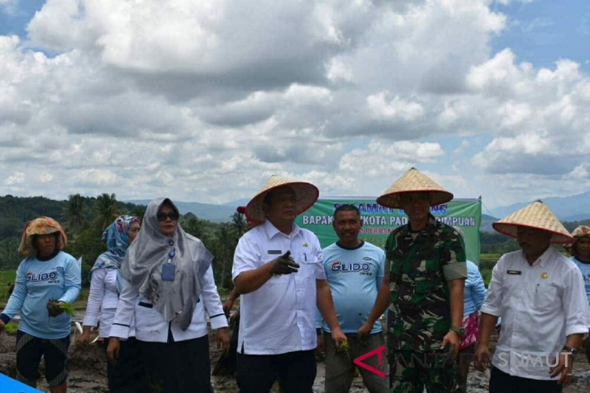 Angkola Julu potensi agrowisata Padangsidimpuan