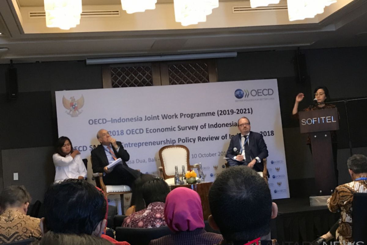 OECD rekomendasikan 10 kebijakan pengembangan UKM di Indonesia