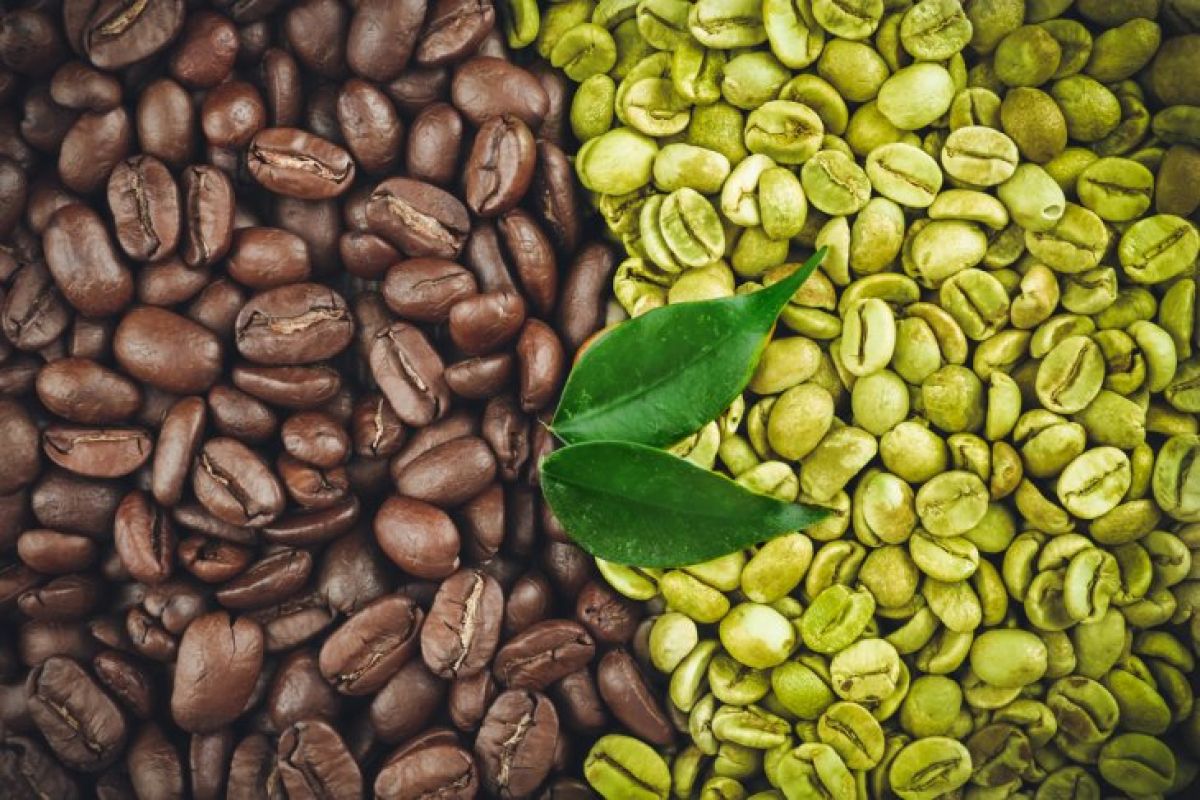Manfaat kopi hijau bagi tubuh