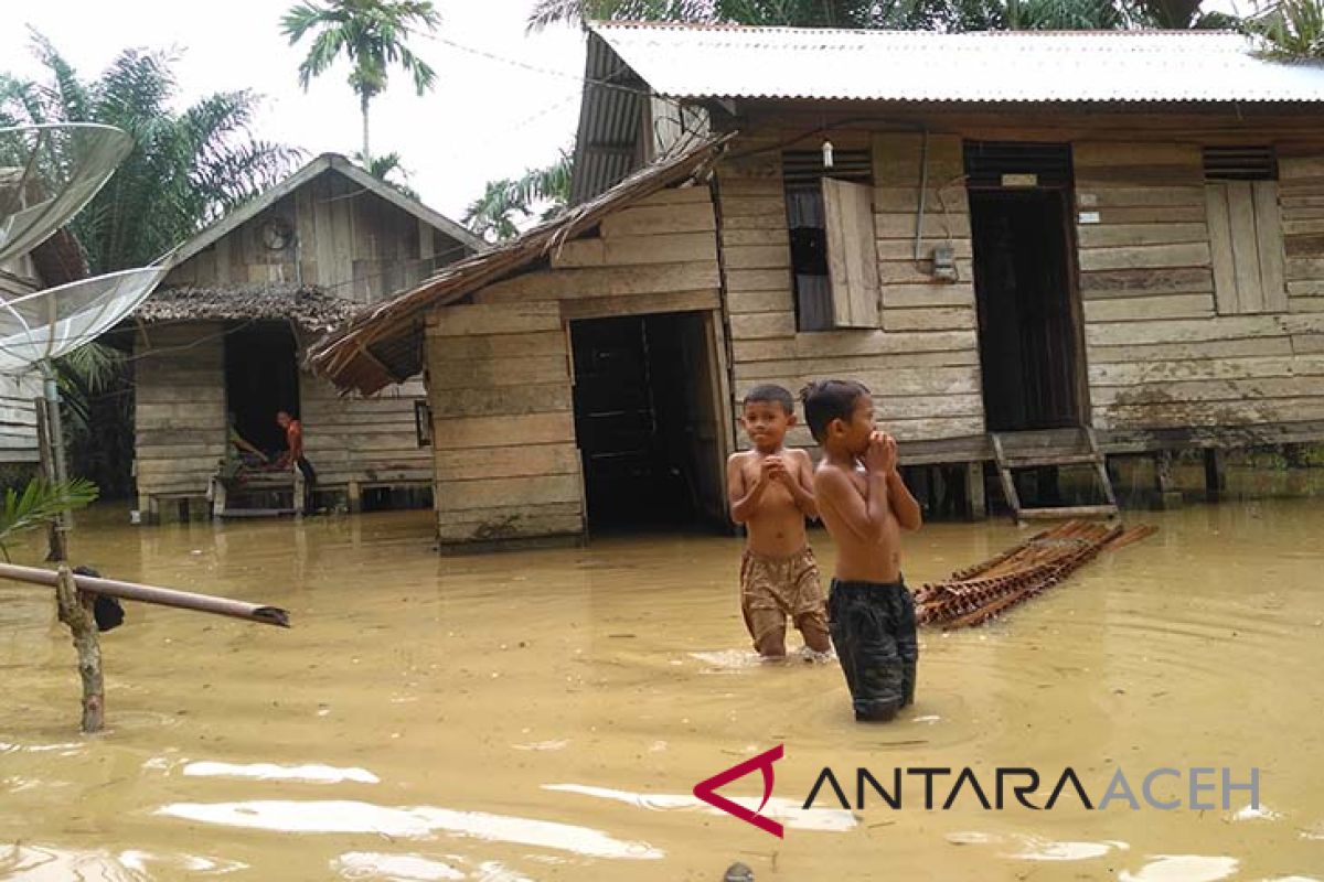 44 jiwa terdampak banjir di Aceh Barat