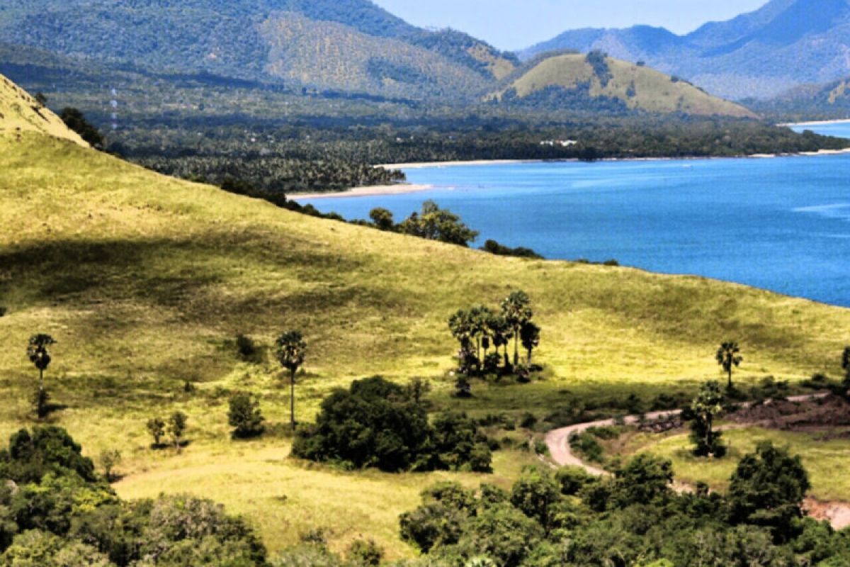 Pariwisata Lembata jadi penyangga Labuan Bajo