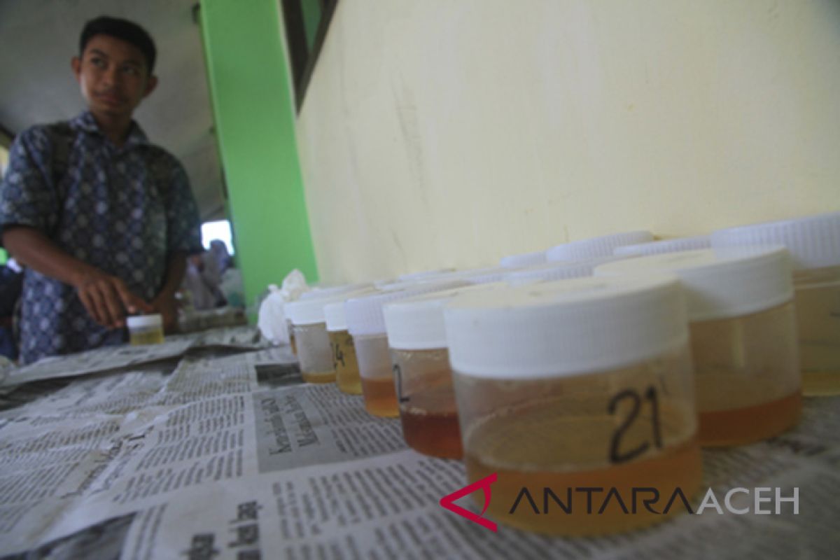 243 pelajar SMA di Aceh Barat jalani tes urine