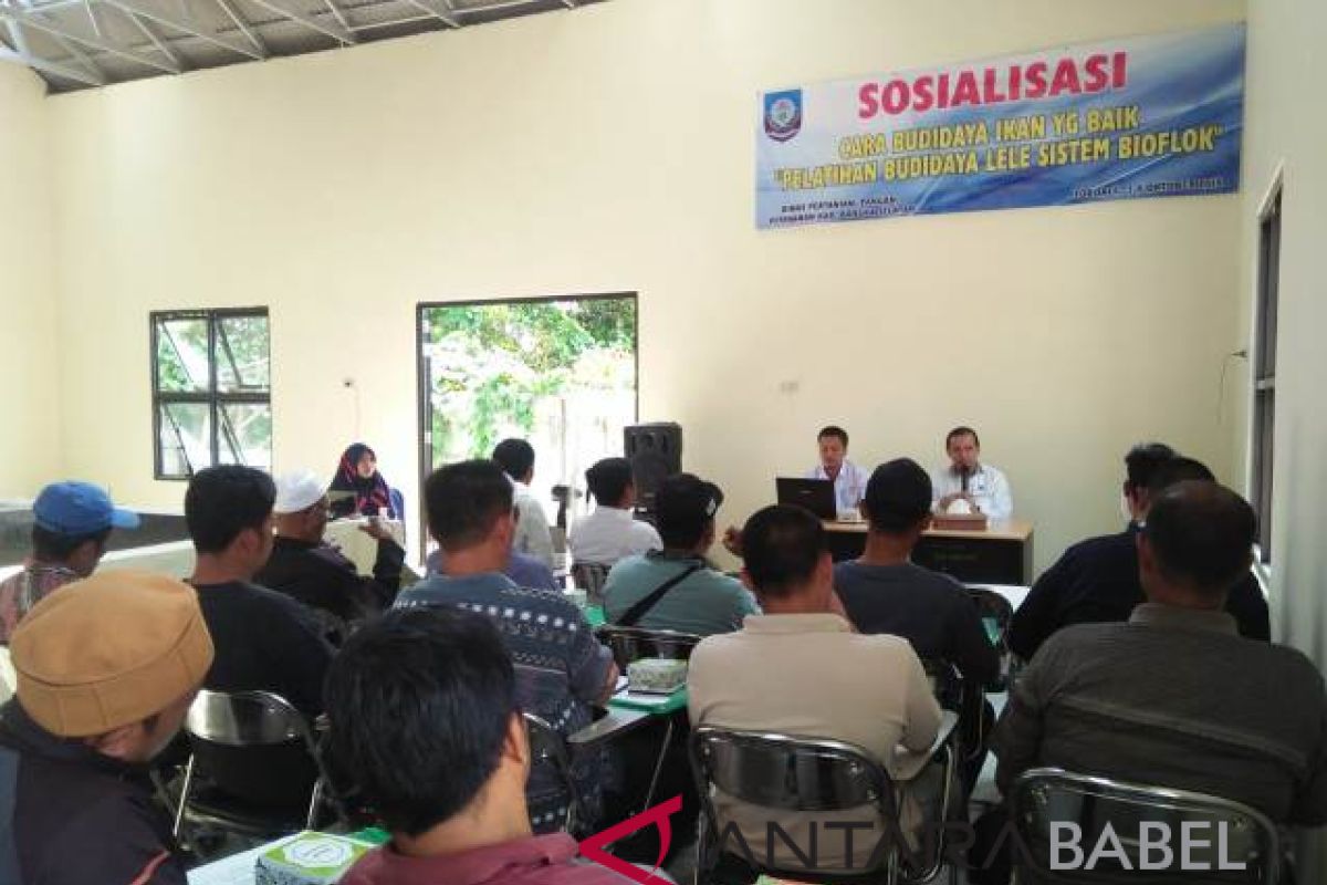 Pemkab Bangka Selatan latih masyarakat budidaya ikan