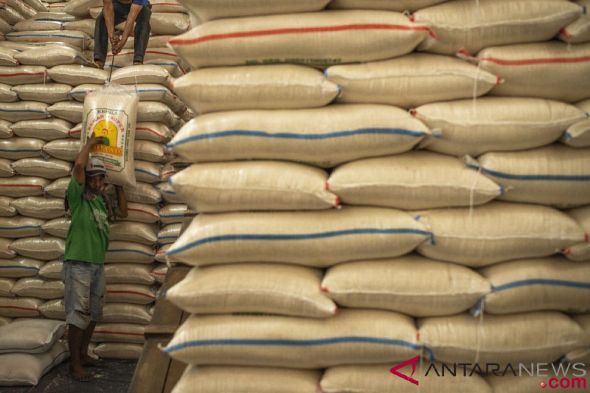 Pemerintah  stabilkan harga beras, setelah naik tipis