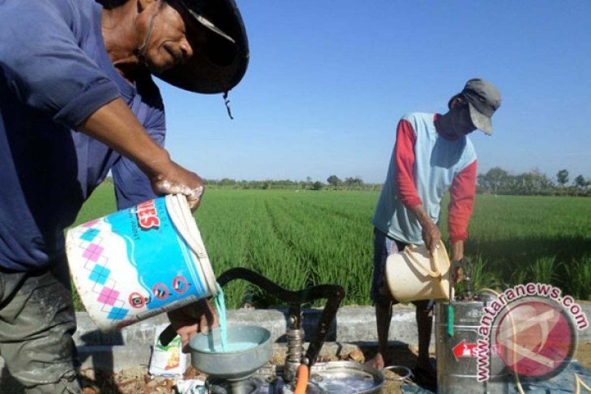 Petrokimia: Tidak Ada Kelangkaan Pupuk Bersubsidi di Jatim