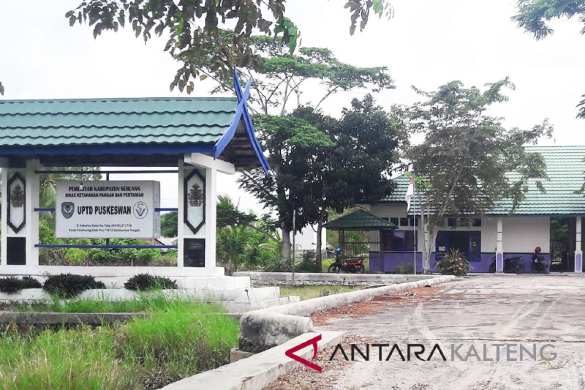 Puskeswan Kuala Pambuang belum miliki dokter hewan