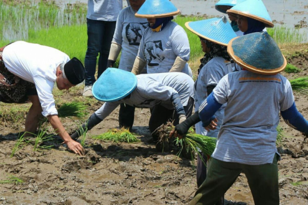 Pemprov Jateng Dorong Modernisasi Alat Pertanian