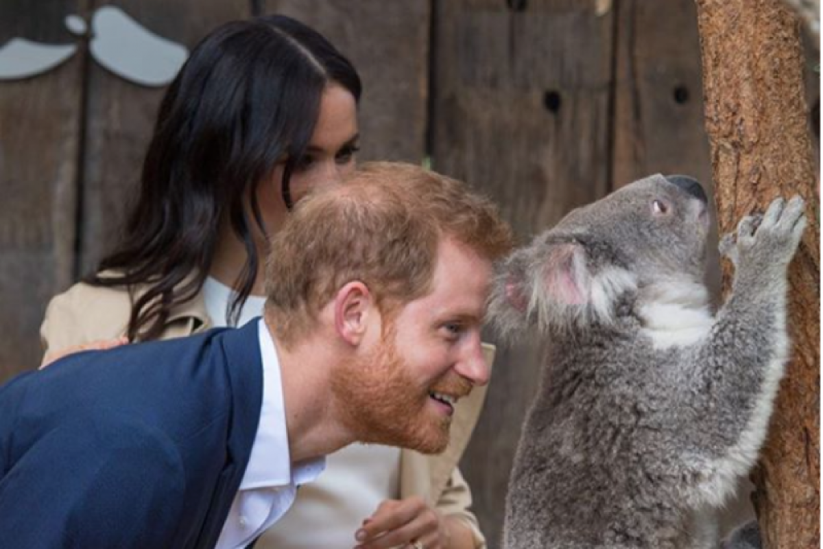 Pesawat yang ditumpangi Meghan Markle dan Harry batal mendarat di Sydney