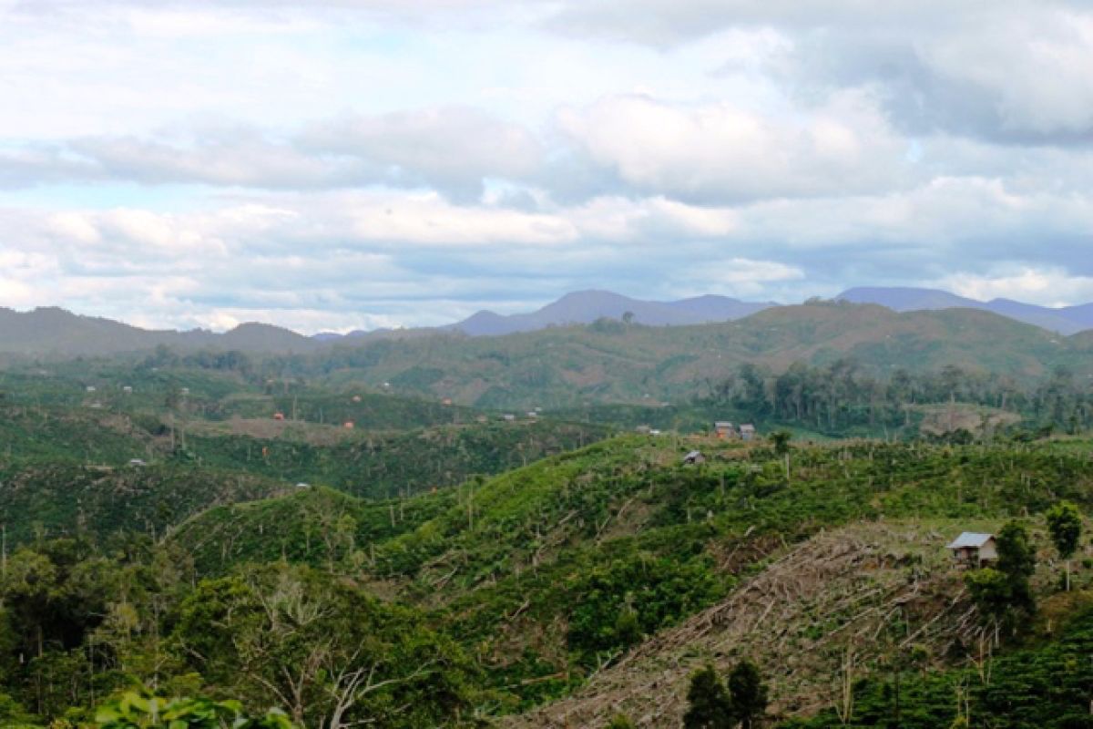 Pemerintah tetapkan status kepemilikan 180 ribu hektar kawasan hutan