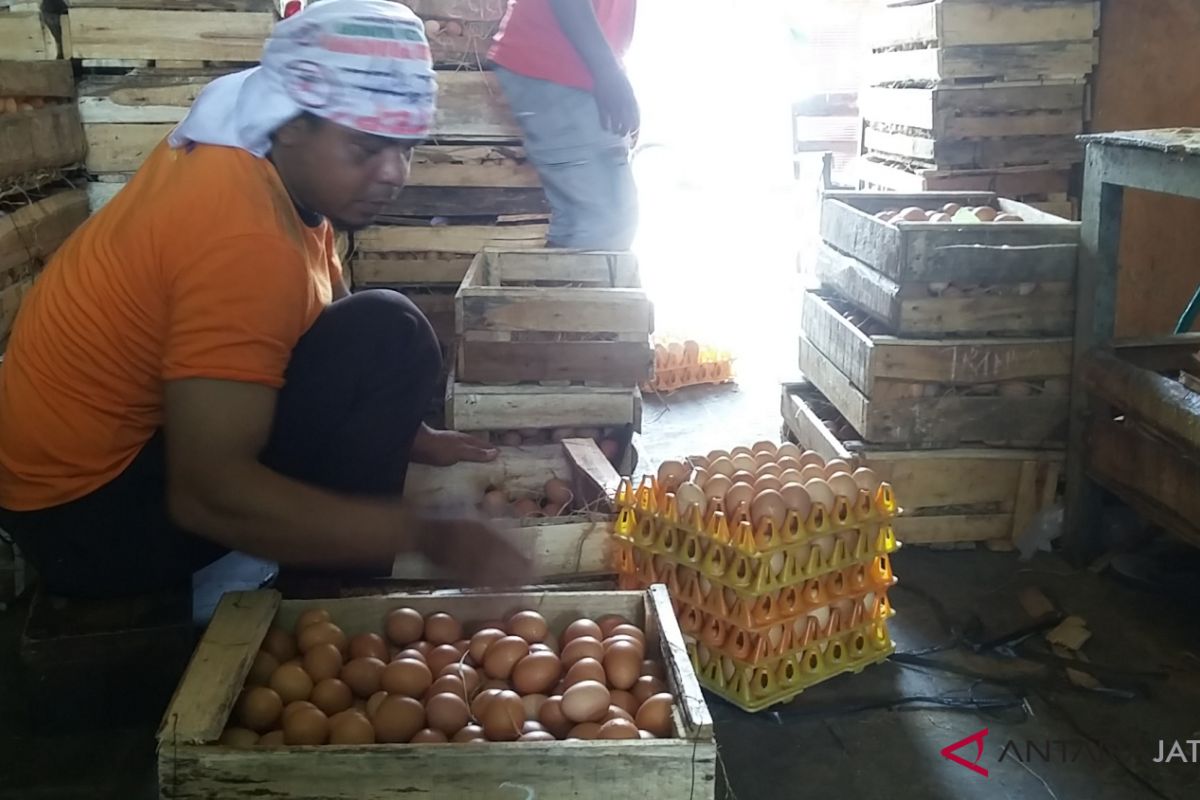 Penurunan harga telur tak untungkan pedagang