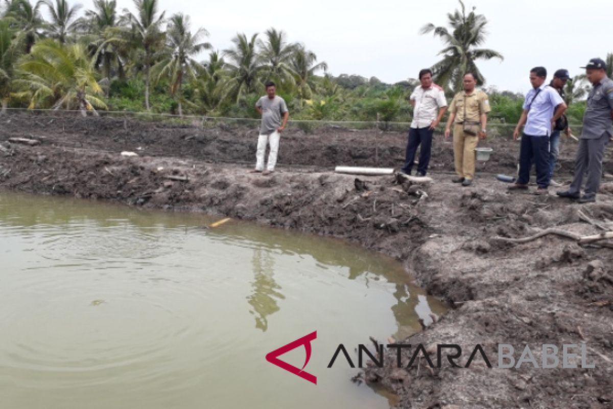 Warga Tempilang rintis budi daya bandeng