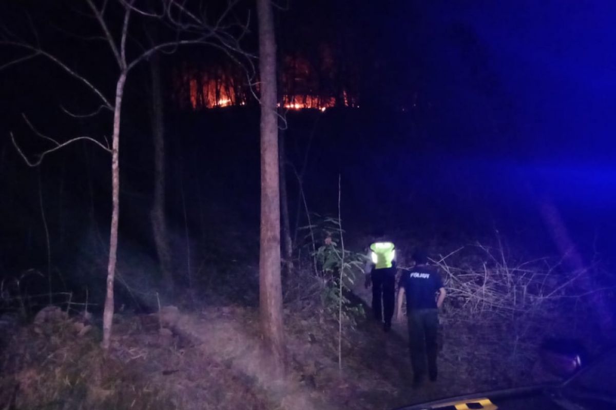 Hutan di Slahung Ponorogo Terbakar