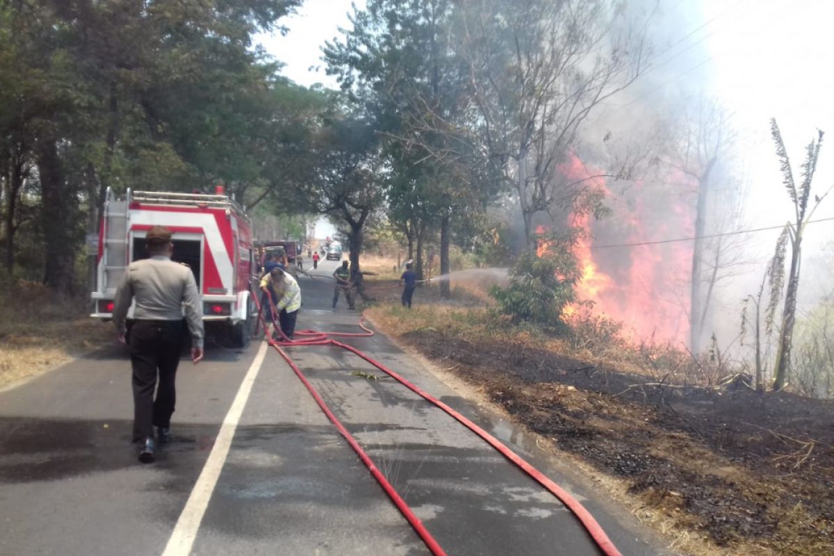 Hutan Kayu Putih di Ponorogo Terbakar