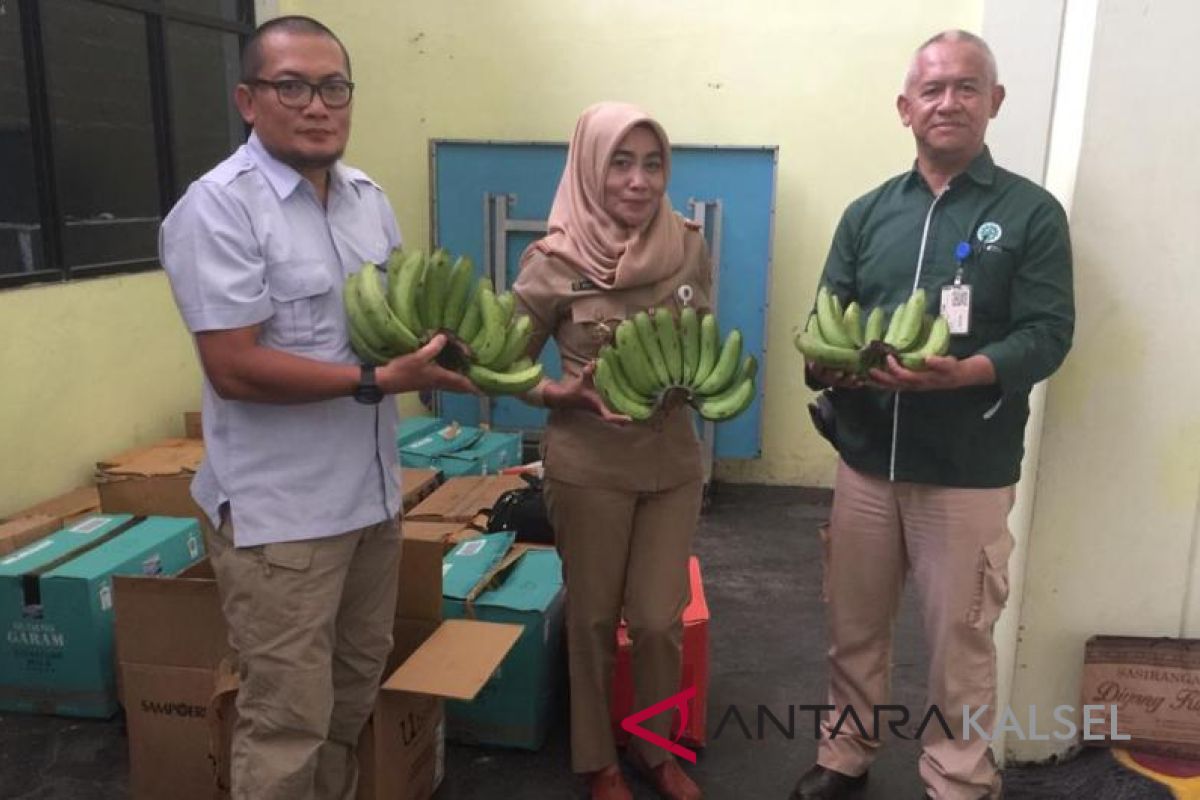 Astra Group kirim ribuan pisang Cavendish ke HPS pecahkan rekor MURI