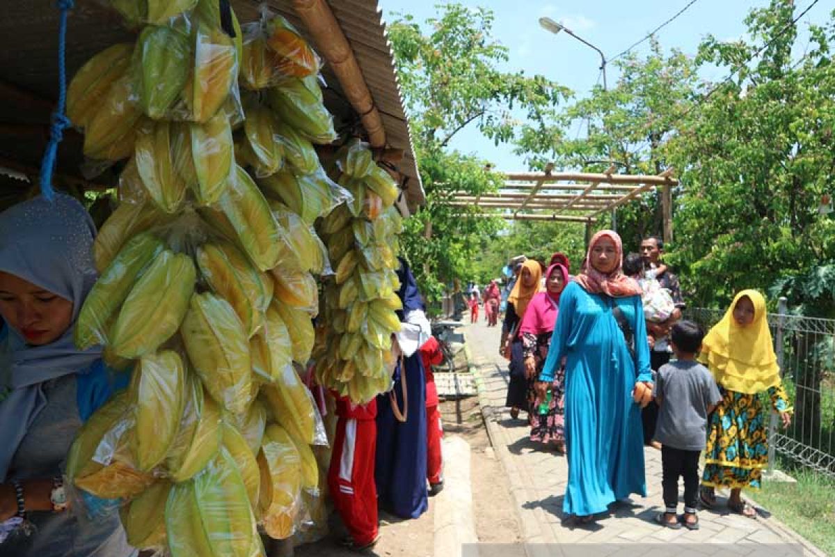 Ngringinrejo Bojonegoro Gelar Festival Belimbing pada 11 November