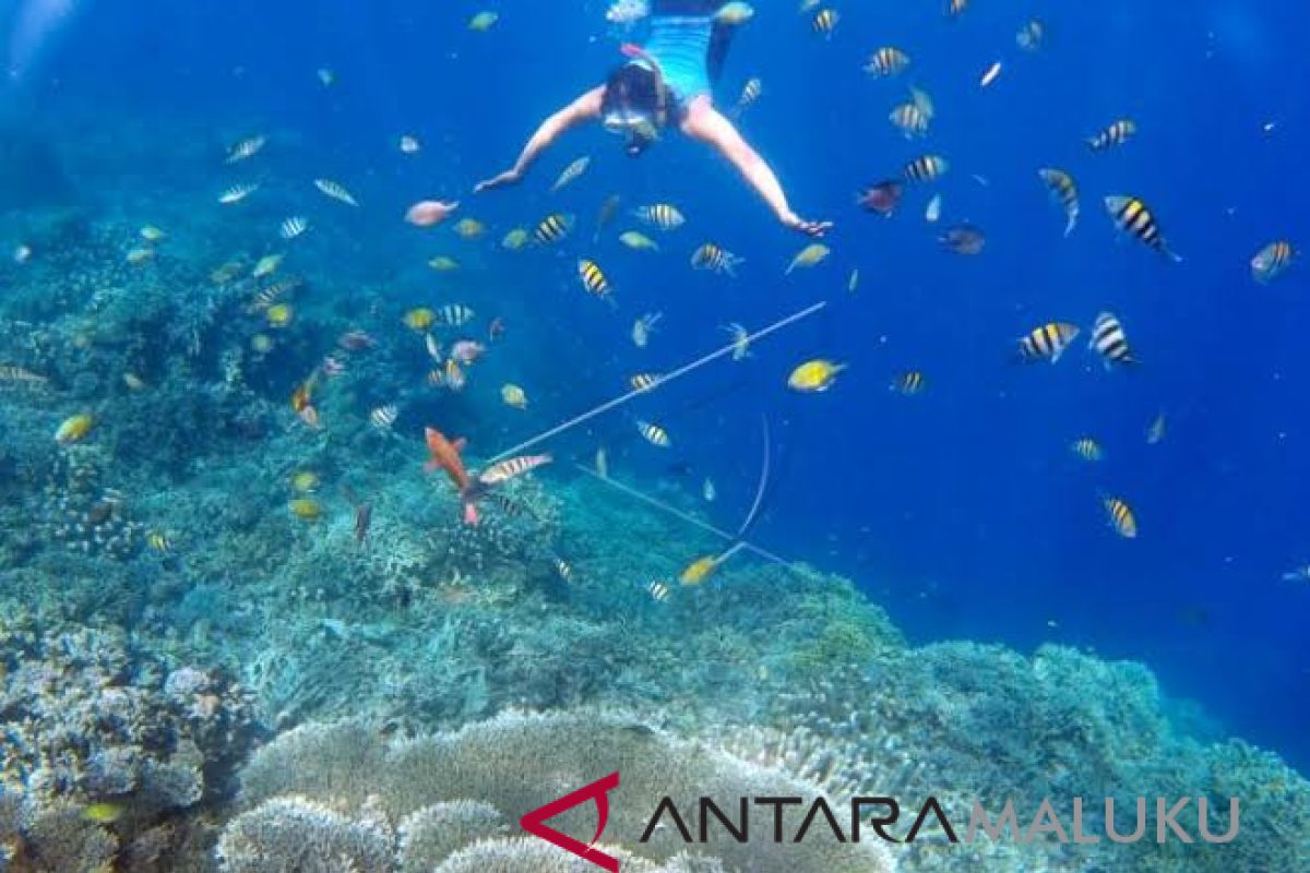 Taman Laut Nukila Ternate diusulkan bebas aktivitas pelayaran