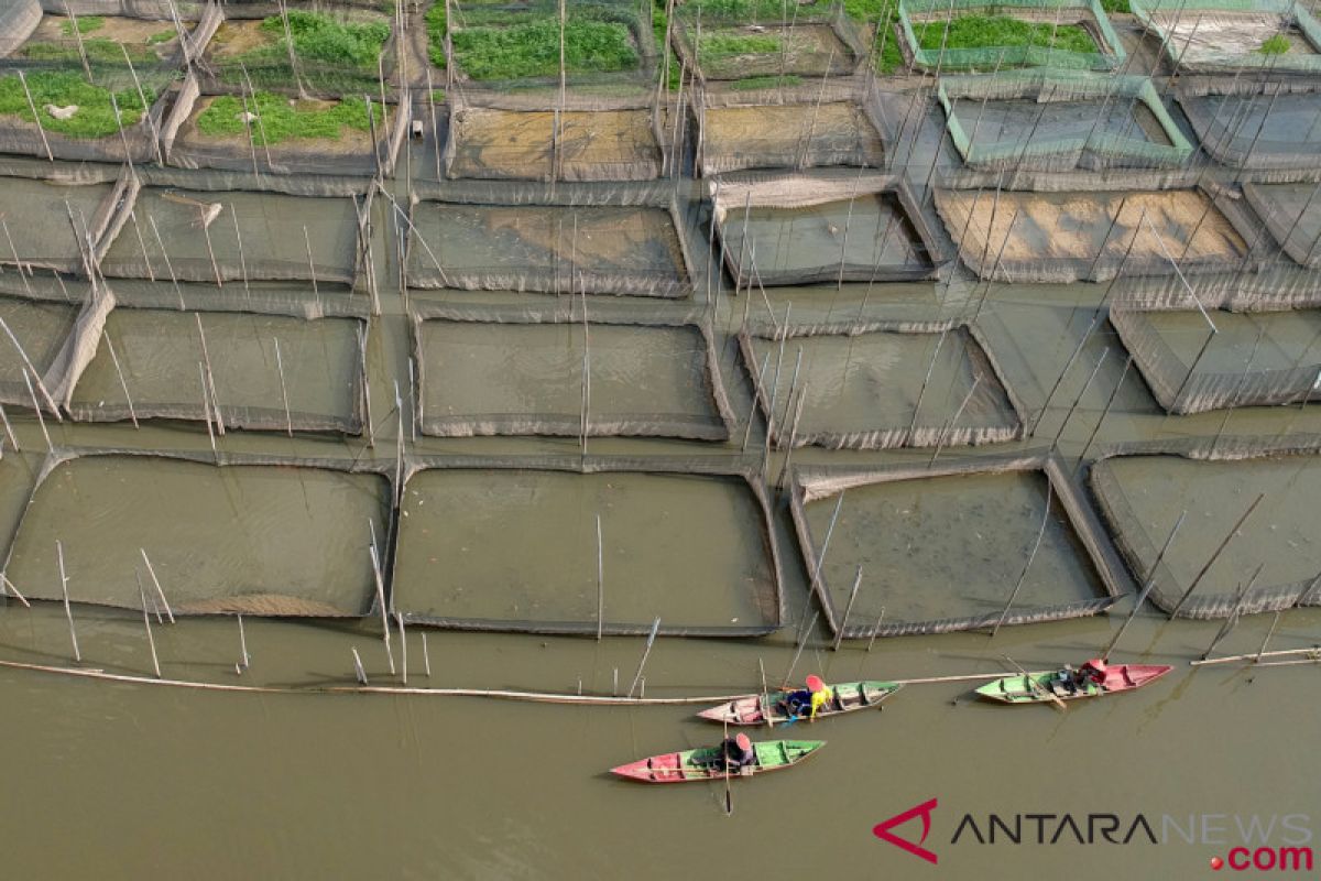 Revitalisasi Danau Rawa Pening tiru Sungai Citarum