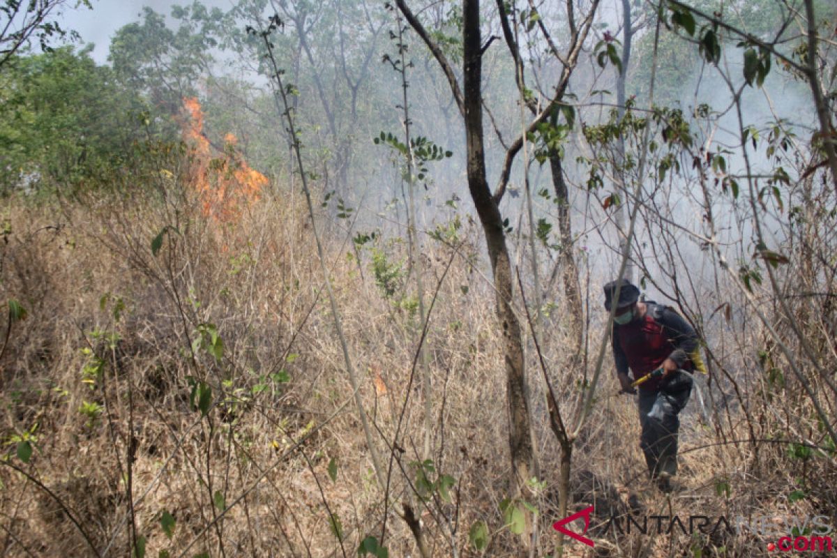 Kebakaran hutan Gunung Ciremai terus meluas