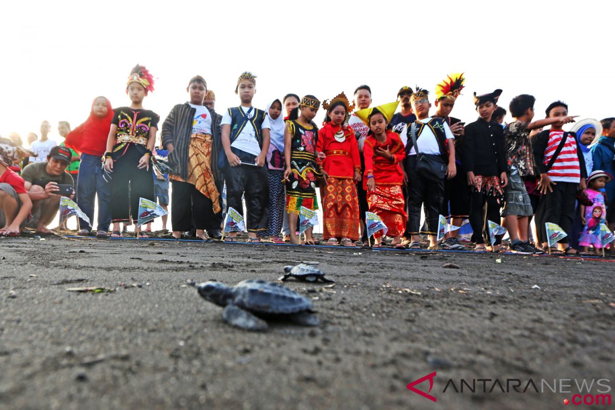 Pejuang penyu di pesisir Sumatera