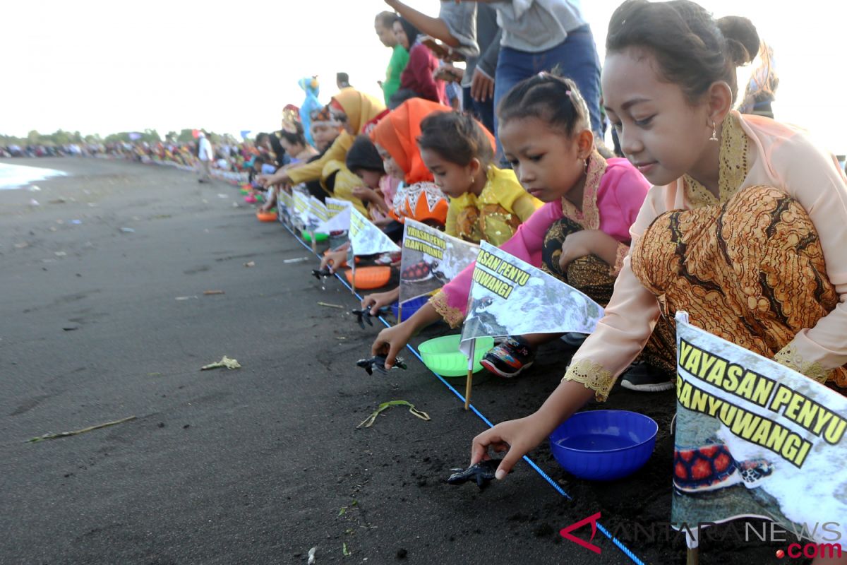 Banyuwangi tourism to be promoted in Belgium