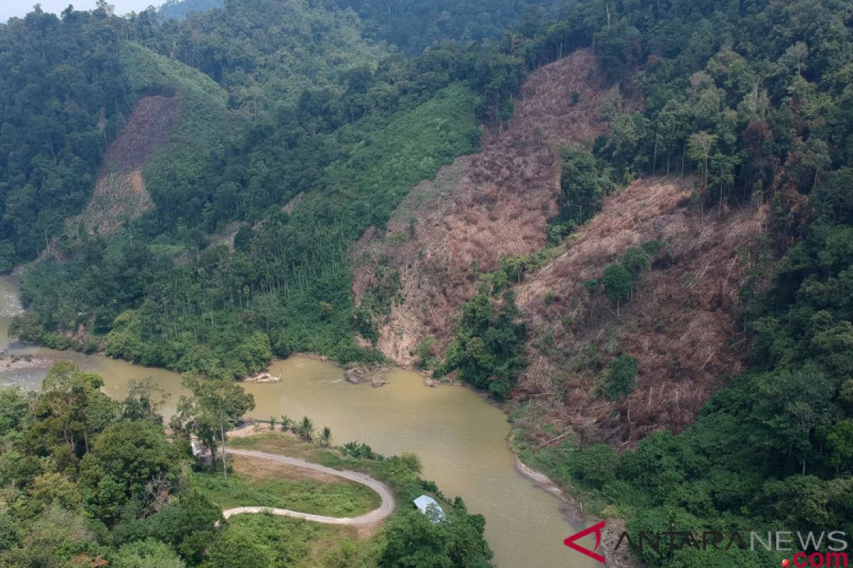 Aksi perambahan hutan sebabkan kerusakan TNKS