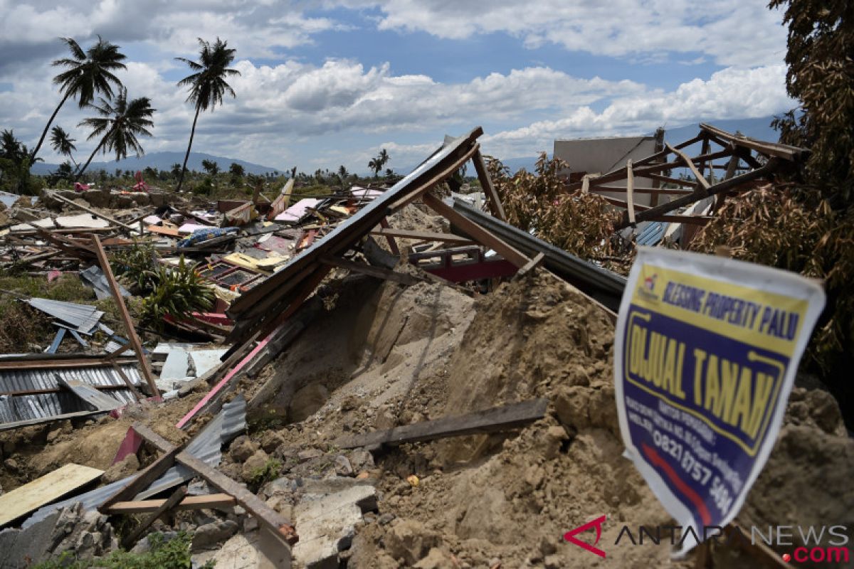 Depression cases surface at hospitals following earthquake, tsunami