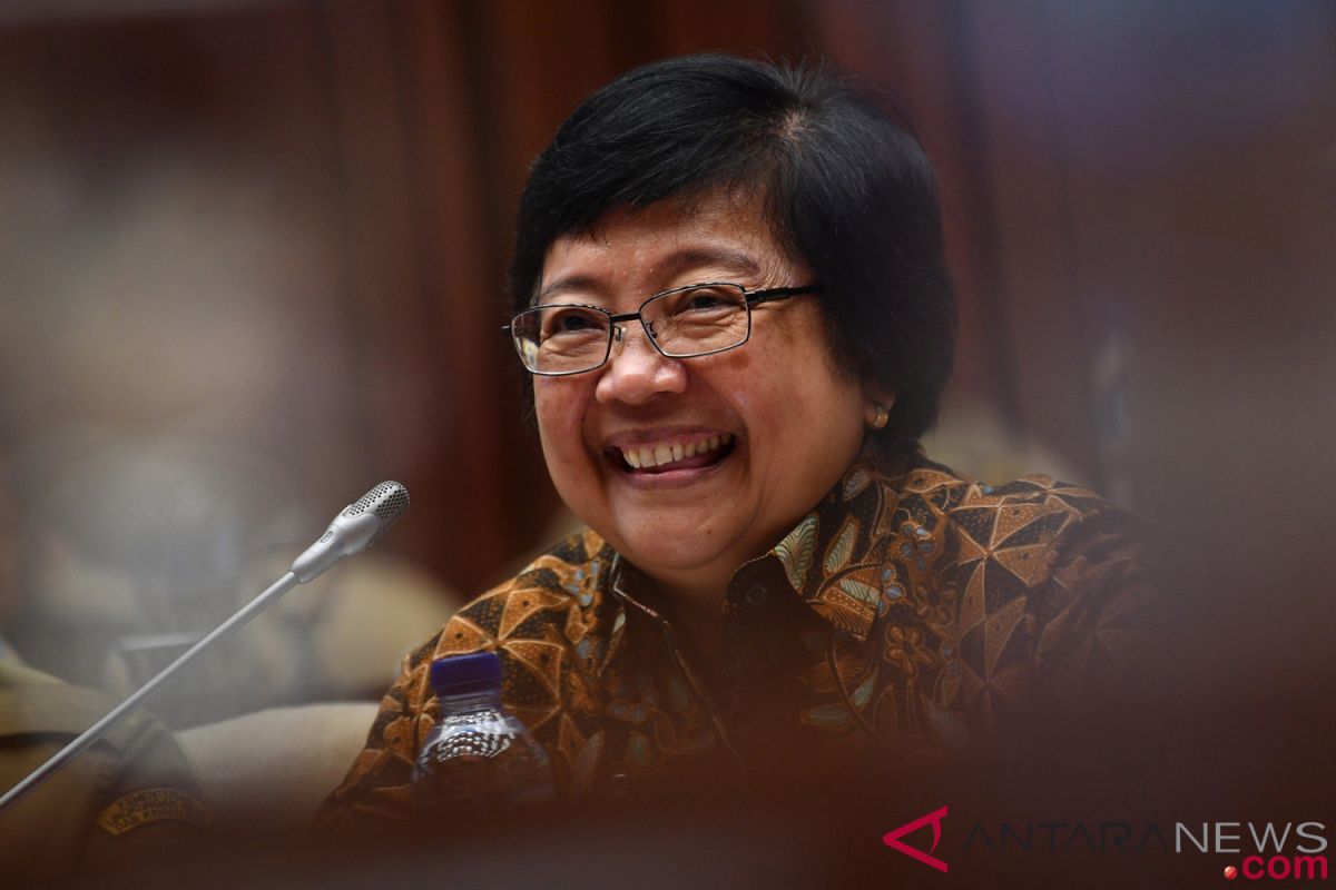 Menteri LHK sebut kayu bertahan meski ada gejolak ekonomi