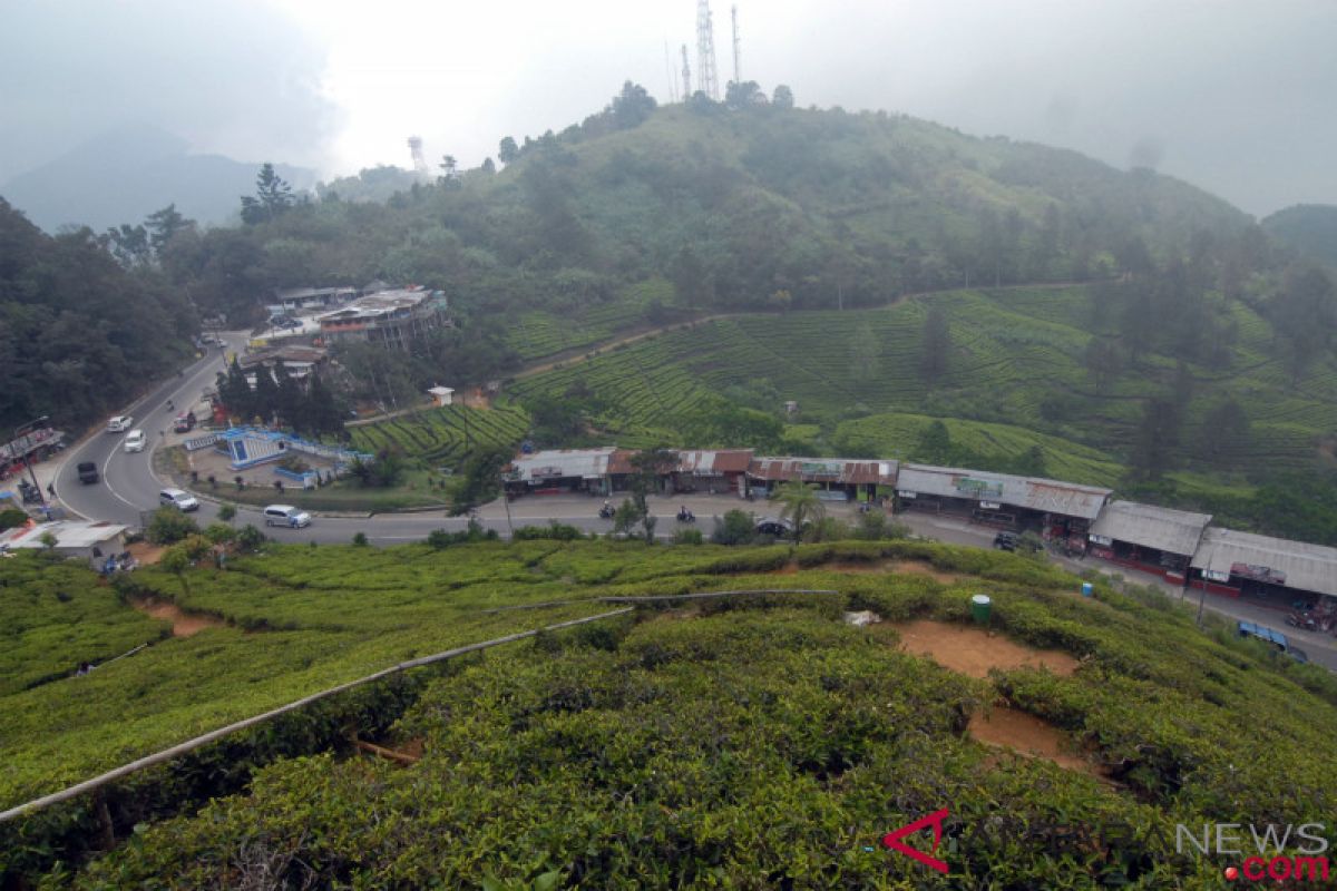 Pemkab Bogor dinilai abai pertahankan hutan tersisa