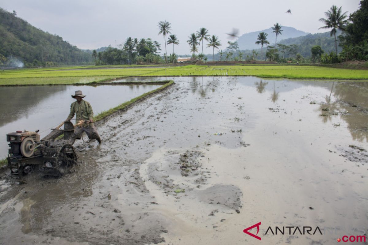 Indonesia kirim tenaga ahli pertanian ke Myanmar