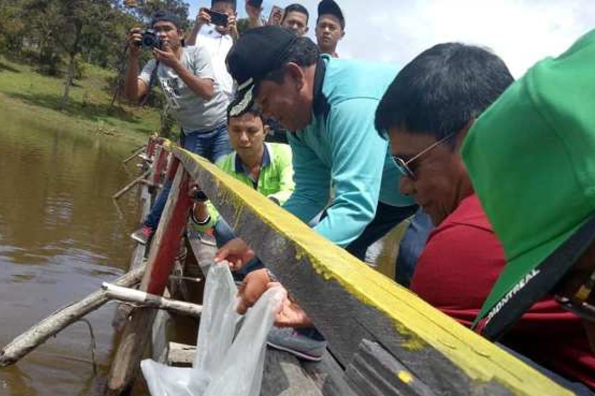 Pemkab Samosir tanam pohon di Hari Sumpah Pemuda