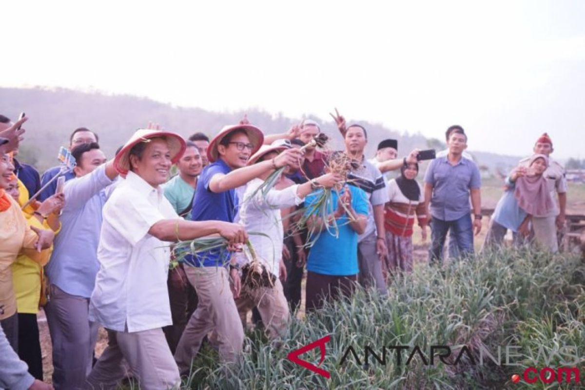 Petani bawang keluhkan harga anjlok kepada Sandiaga