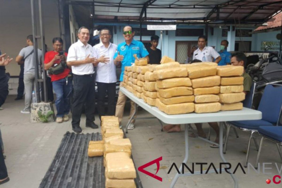 BNN sita 250 kilogram ganja di Lampung Selatan