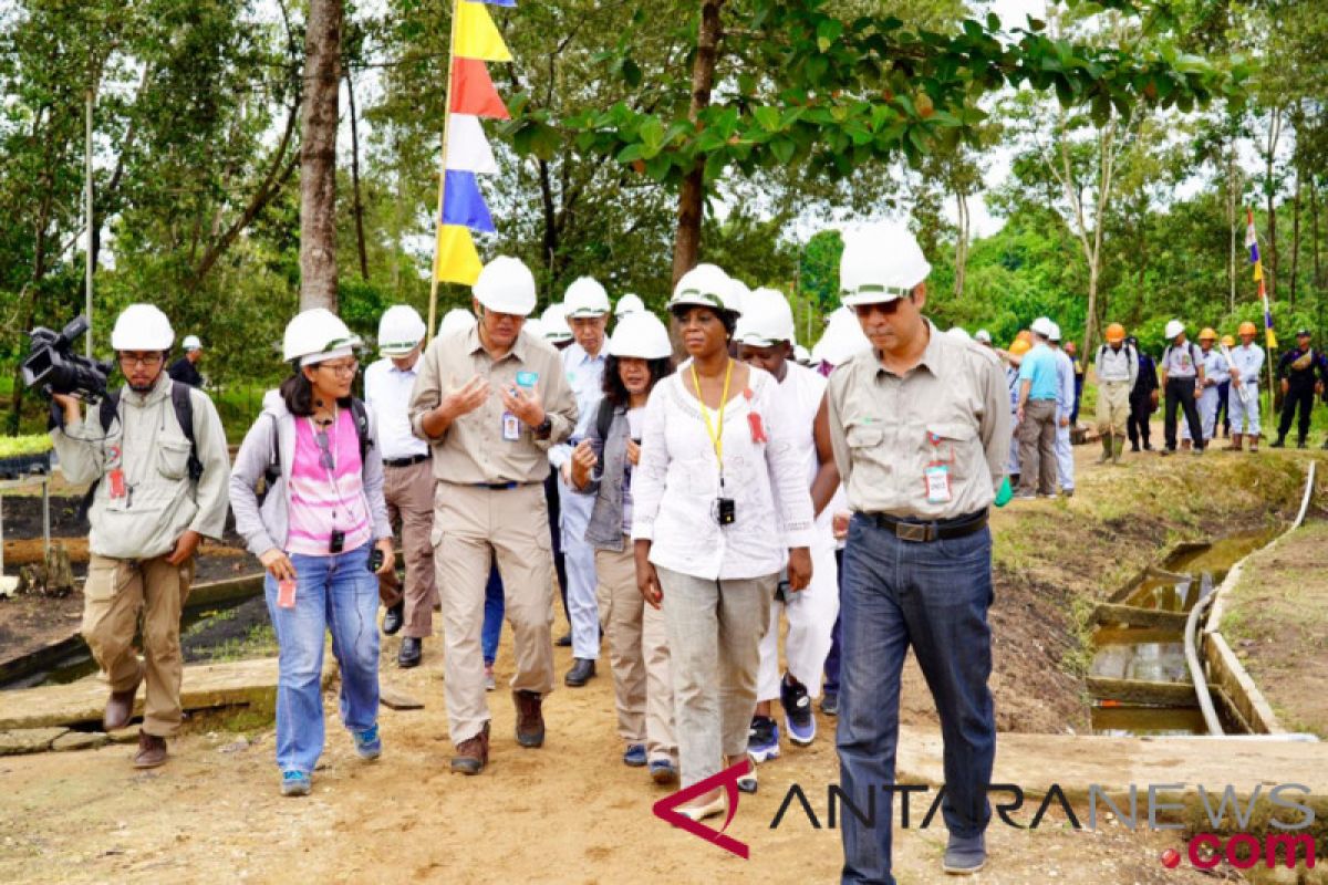 Indonesia memiliki Pusat Lahan Gambut Tropis Internasional