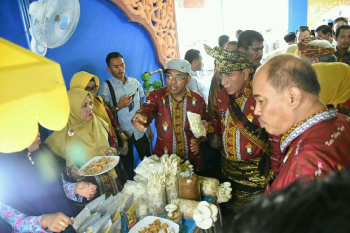 Gubsu buka jambore TTG di Tebing Tinggi