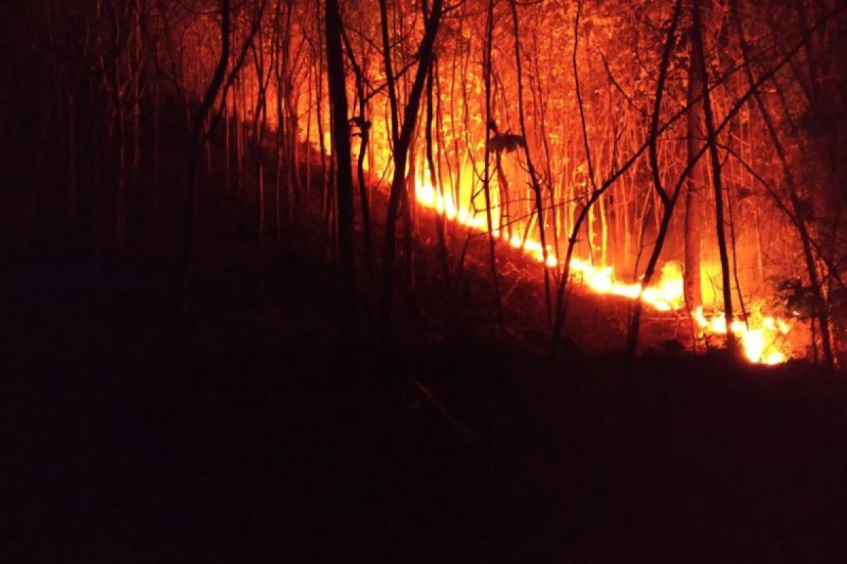 Hutan Gunung Bancak Magetan Terbakar