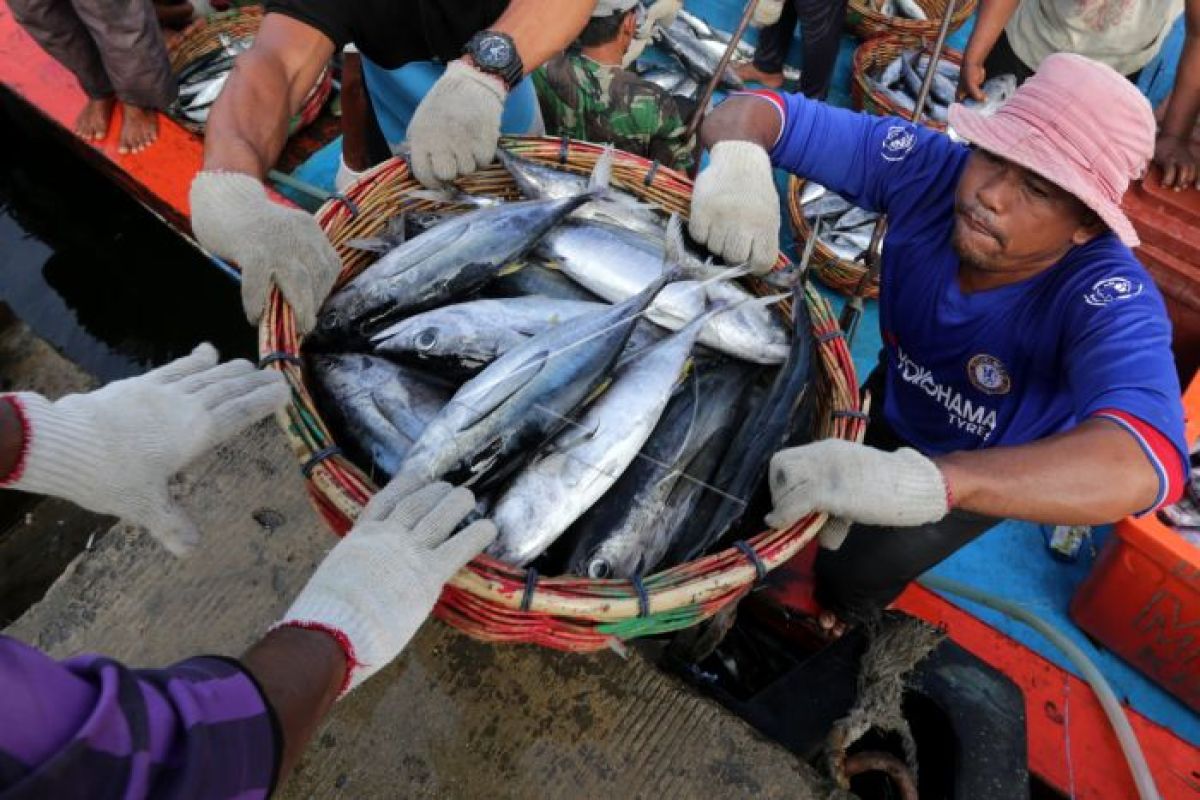 DIY rencanakan bangun unit pengolahan ikan berstandar ekspor