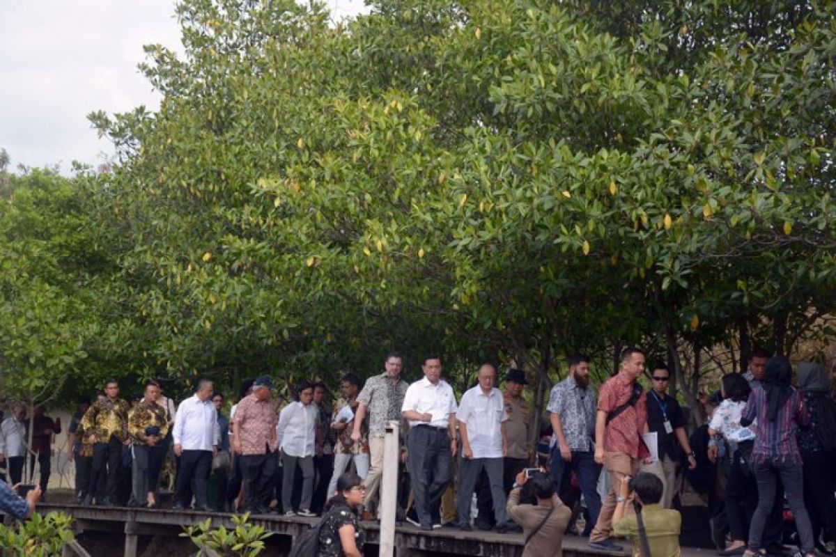 LIPI : Mangrove untuk hadang gelombang laut