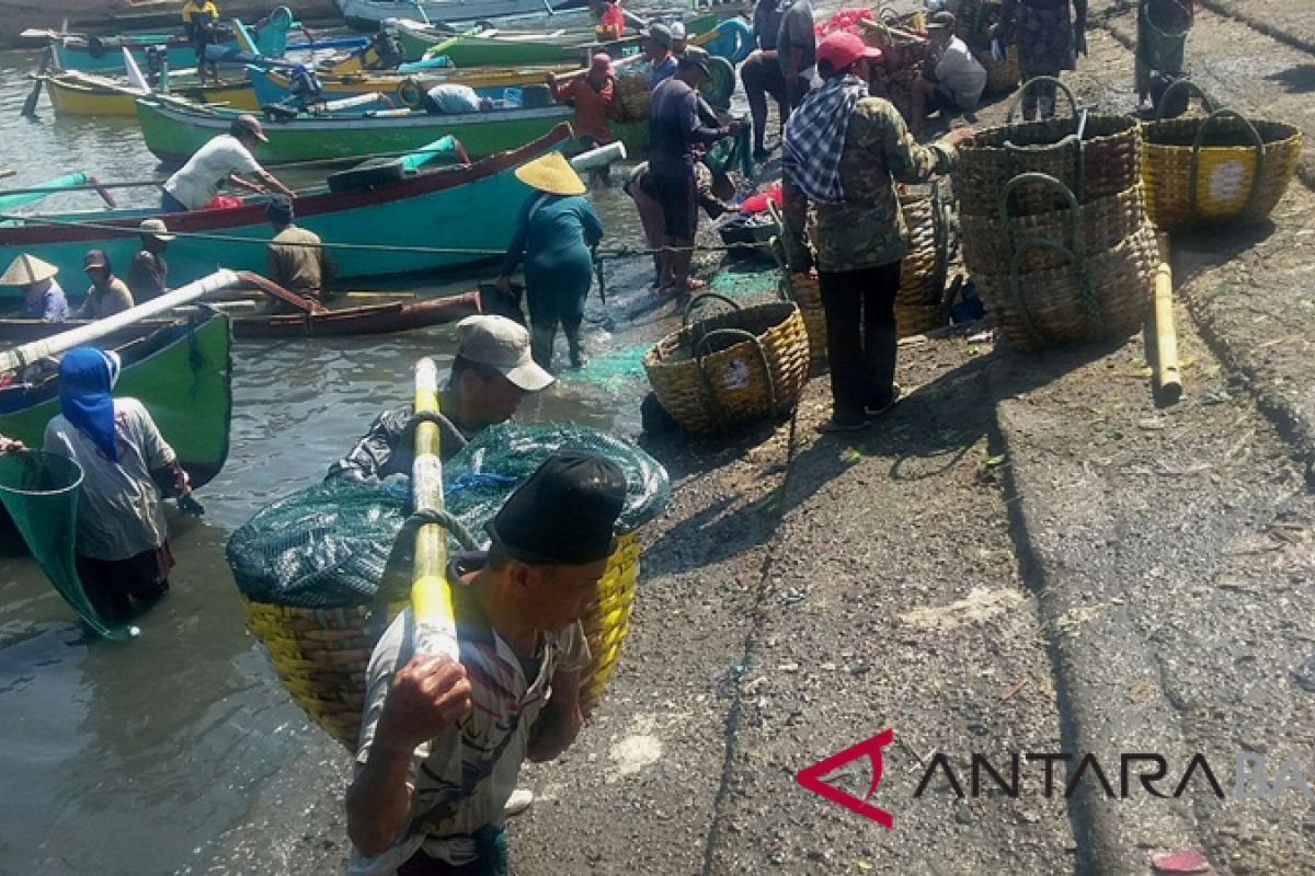 Atasi harga ikan, HNSI Jembrana rintis koperasi