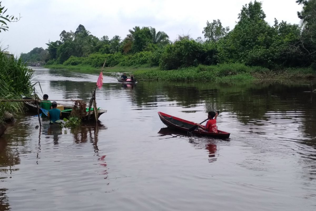 Warga Rasau Jaya heboh nangguk ikan 