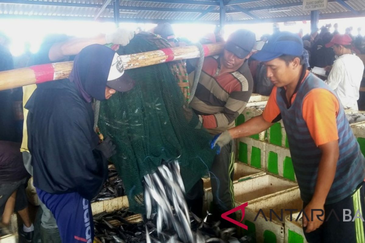 Anjlok, harga ikan nelayan Jembrana