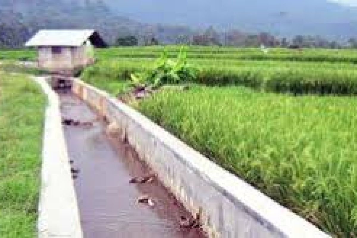 Petani Pesisir Tangerang Kesulitan Air Saluran Irigasi