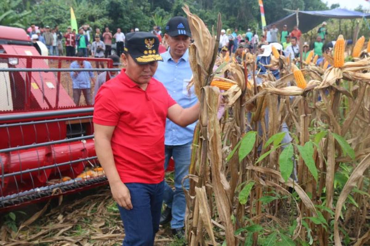 Gubernur Kalteng janji tambah mesin panen jagung