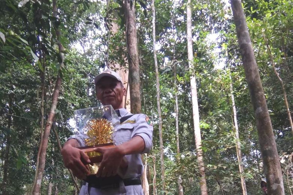 Anugerah Kalpataru setelah 30 tahun menjaga hutan