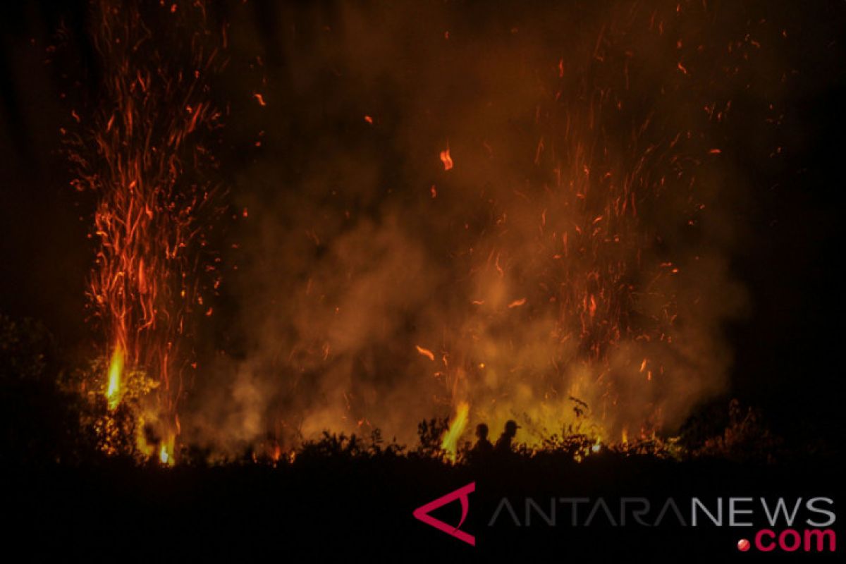 Hutan Gunung Bancak di Magetan terbakar