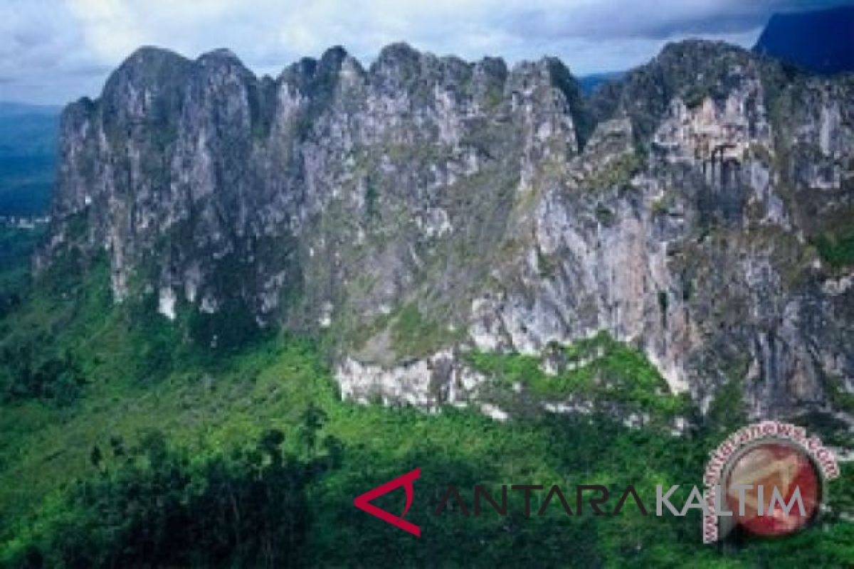 Ribuan hektare karst Kaltim jadi bentang alam